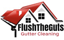 Logo for Flush The Guts Gutter Cleaning Inc.