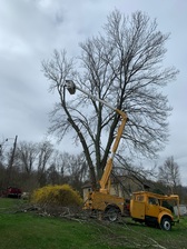 Avatar for Tri-Lakes Tree Service and Bucket Truck