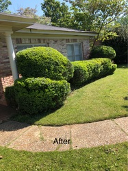 KD Lawn and Landscaping Services logo