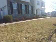 Tino Landscaping, LLC logo