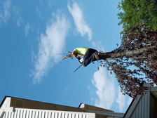 Avatar for Knockout Landscape and Construction, LLC