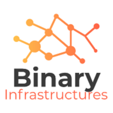 Binary Infrastructures, LLC logo