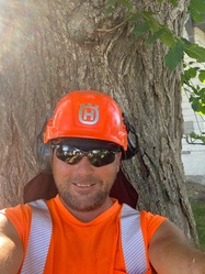 Bush's Best Tree Care and Removal logo