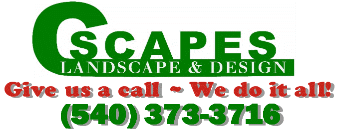 C-Scapes, Inc. logo