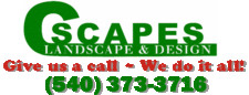 Avatar for C-Scapes, Inc.