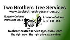 Logo for Two BrothersTree Services