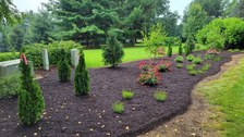 Logo for Branch and Vine Landscape Design, LLC