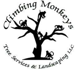 Climbing Monkeys Tree Services & Landscaping, LLC logo