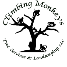Climbing Monkeys Tree Services & Landscaping, LLC logo