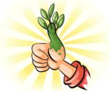 Dr. Green Thumb Landscaping Services logo