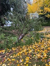 Avatar for EP Garden and Landscaping