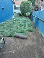 Avatar for EP Garden and Landscaping