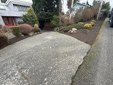 Avatar for EP Garden and Landscaping