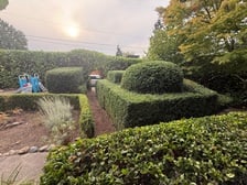 Logo for EP Garden and Landscaping