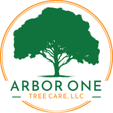 Avatar for Arbor One Tree Care, LLC