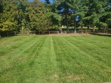 Avatar for Hannabass Landscaping & Lawn Care