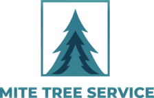 Avatar for Mite Tree Services