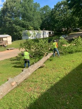 Logo for Z74 Tree Service, LLC