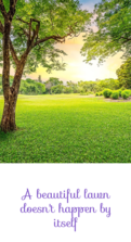 Avatar for Honeysuckle Lawn Care & Landscaping