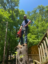 Logo for Pruitts Tree Service - Home Facebook