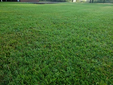 Avatar for Hardin Lawn and Landscape