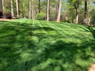 Adame's Lawncare logo