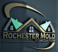 Avatar for Rochester Mold Remediation