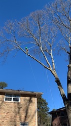 Kings Tree Service & Landscaping logo