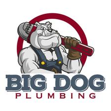 Big Dog Plumbing LLC - Home Facebook logo