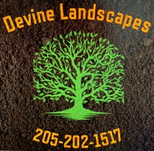 Devine Landscapes logo