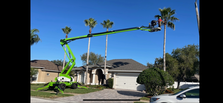 Avatar for Professional Tree Services of Florida, Inc.