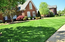 Sunflower Lawn and Landscape logo