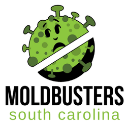 Mold Busters USA South Carolina, LLC logo