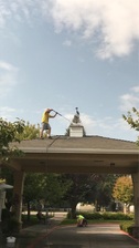Avatar for Rogue Pressure Washing