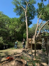 Logo for Rios Tree Service