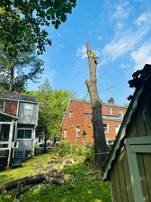 Logo for Esteban Tree Services LLC