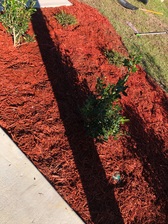 Avatar for Just Us Landscaping