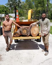 Avatar for A PERFECT CUTT TREE SERVICE