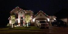 Avatar for Lugo's Tree & Landscaping Services