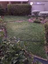 Martin's Landscaping - Unlicensed Contractor logo