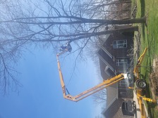 Avatar for Cedar Rapids Tree Service
