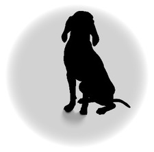 BTI logo