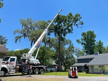 Logo for Northeast Florida Tree Experts, LLC