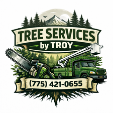 Avatar for Troy's Tree Service