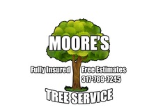 Avatar for Moore Tree Service & Landscaping