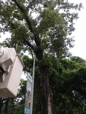 Logo for LandPro Enterprises, Inc.