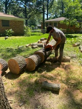 Logo for Wilson’s tree & metal work