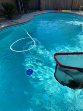 Avatar for American Pool Solutions
