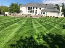 Juniors Landscaping & Cleaning Services logo