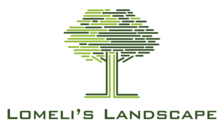 Lomeli's Landscape - Home Facebook logo